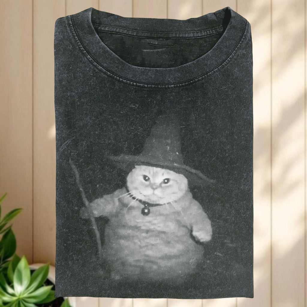 Cat Wizard Meme Comfort Colors TShirt, Funny Kitty Meme Shirt, Cat Lover Gift, Unisex Tshirt 4350023102